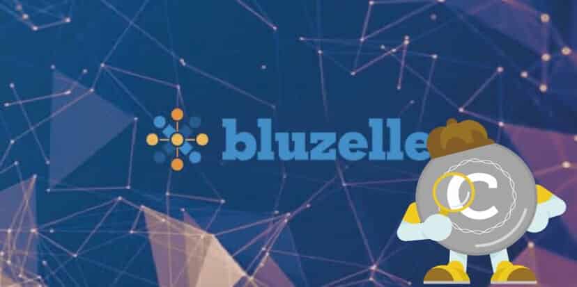 【情報量日本一位】シンガポール発！ハイスペックチームが開発したBluzelle(ブルゼル)をコインオタクが徹底調査！（2019年4月2日更新）