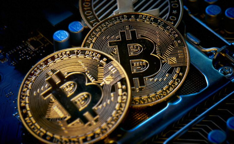 Bitcoin_X_ELON_202602